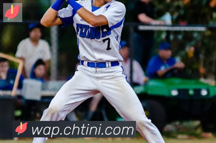 开云app在线入口平台生态图