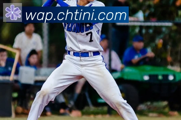 开云app在线入口品牌故事