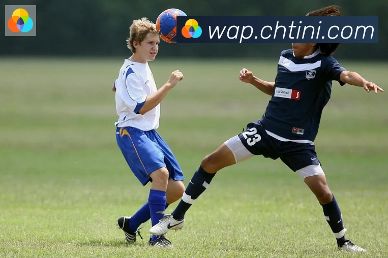 开云app在线入口服务体系