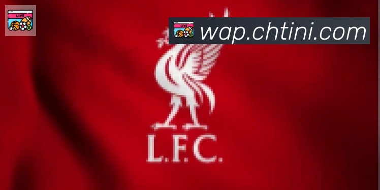 开云app在线入口合作伙伴